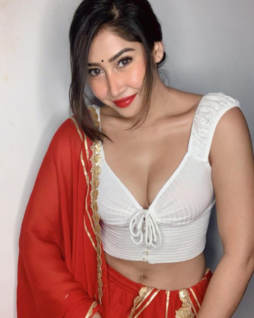 Sofia Ansari in Indian Dress