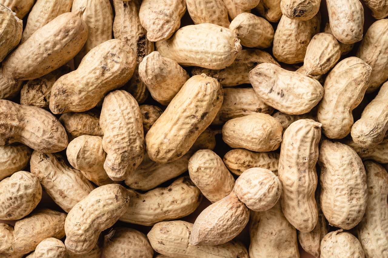 Read more about the article Disadvantages of Peanuts: 5 major disadvantages of eating more peanuts, know the peanut side effects before consuming them!