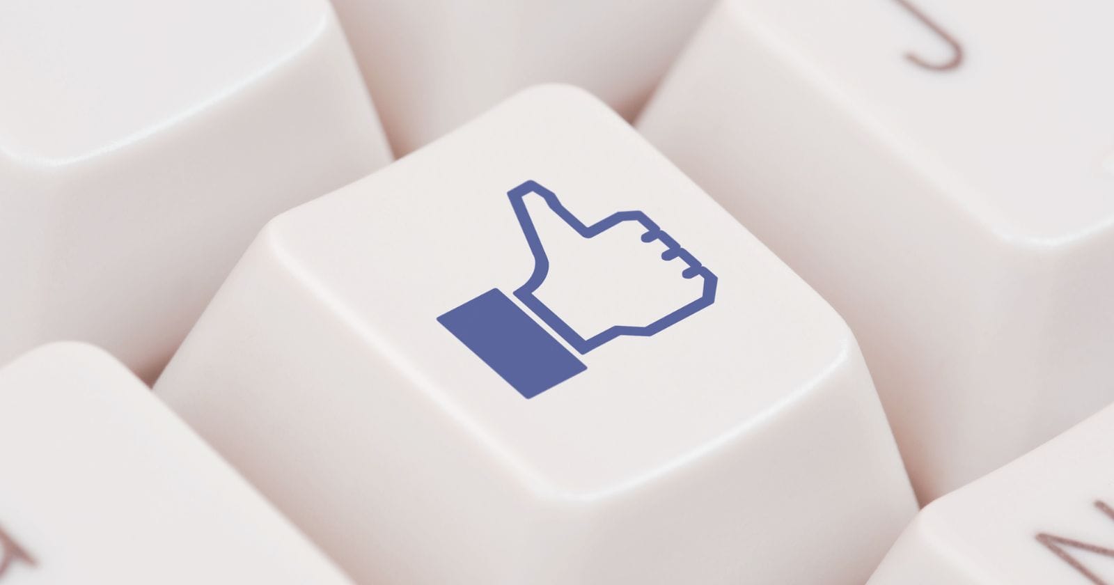 You are currently viewing How to see your liked posts on Facebook: Updated Method